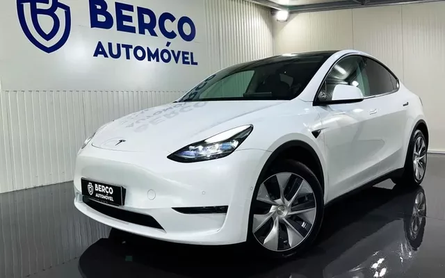 Tesla Model Y Long Range Dual Motor AWD