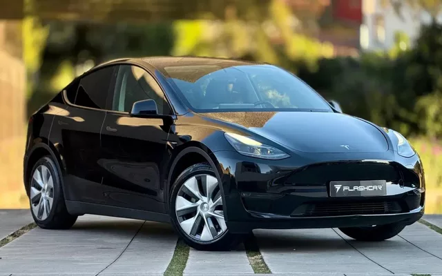 Tesla Model Y Long Range Dual Motor AWD