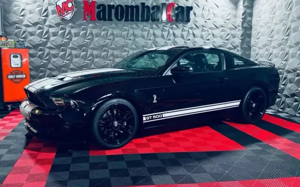 Shelby GT500 2010 other_Outro