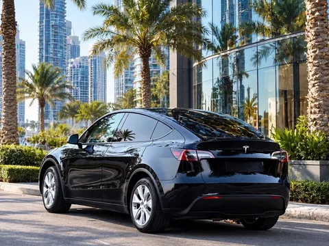 Tesla Model Y Long Range Dual Motor AWD