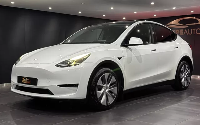 Tesla Model Y Long Range Dual Motor AWD