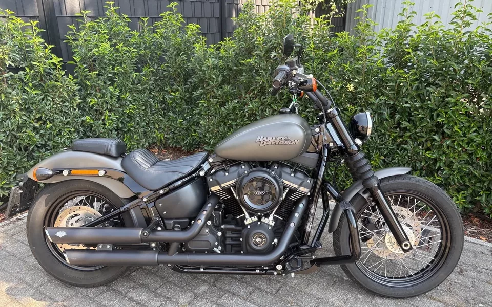 H-D STREET BOB 107