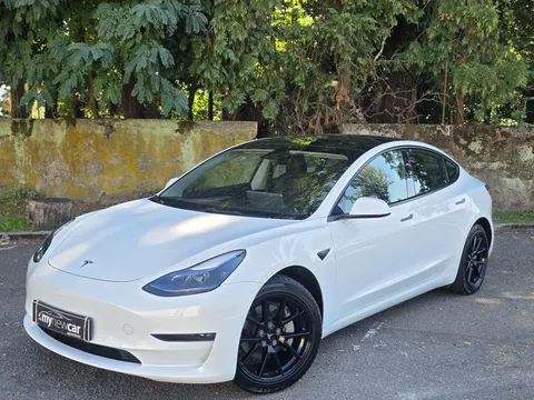 Tesla Model 3 AWD Dual Motor
