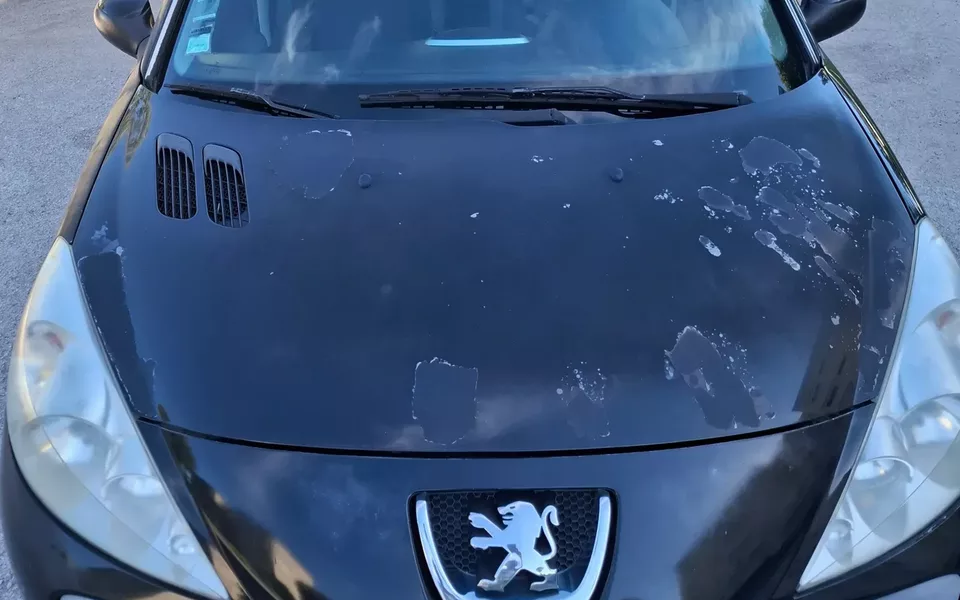 Peugeot 206+ 1.1 Trendy