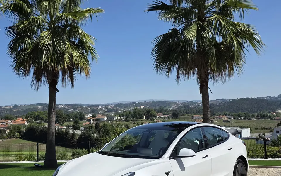 Tesla Model 3 Long Range AWD Dual Motor