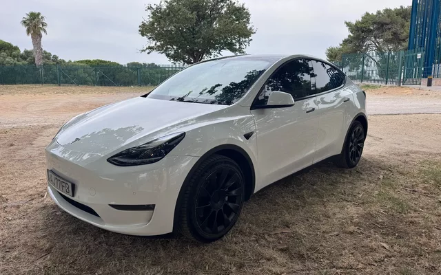 Tesla Model Y Long Range Tração Integral