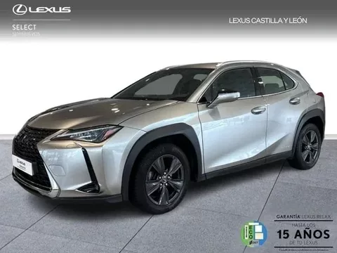 LEXUS UX Business