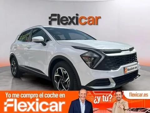 KIA Sportage 1.6 CRDi MHEV 100kW (136CV) Business 4x2
