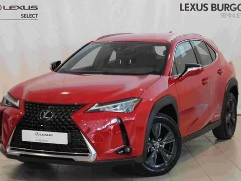 LEXUS UX Business