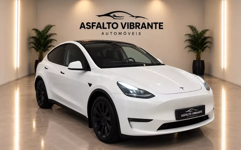 Tesla Model Y Long Range Dual Motor AWD