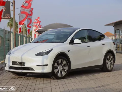 Tesla Model Y Standard
