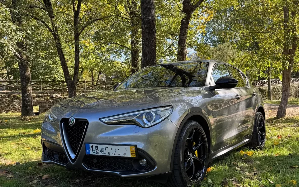 Alfa Romeo Stelvio 2.2 D Super AT8