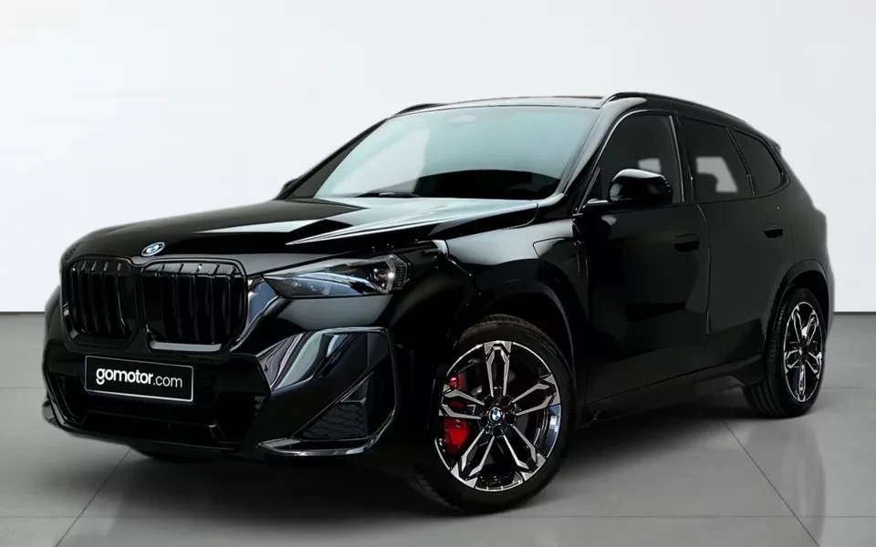 BMW X1 X1 xDrive25eA