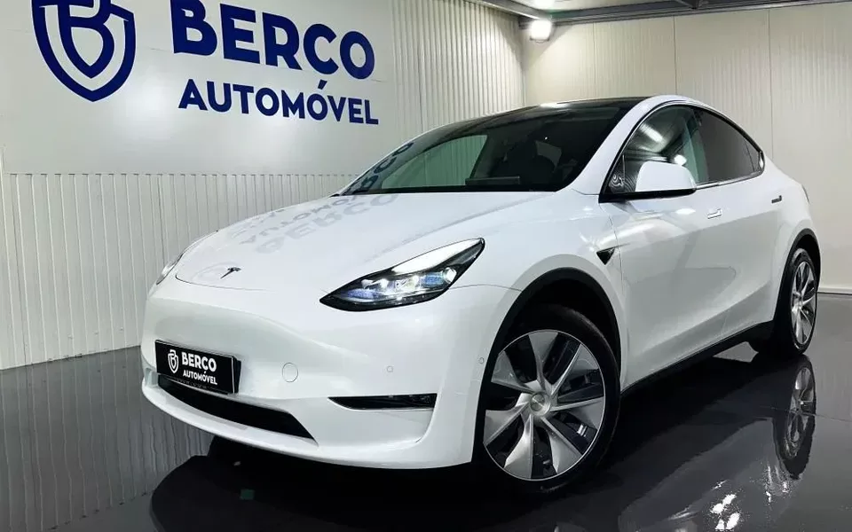 Tesla Model Y Long Range Dual Motor AWD