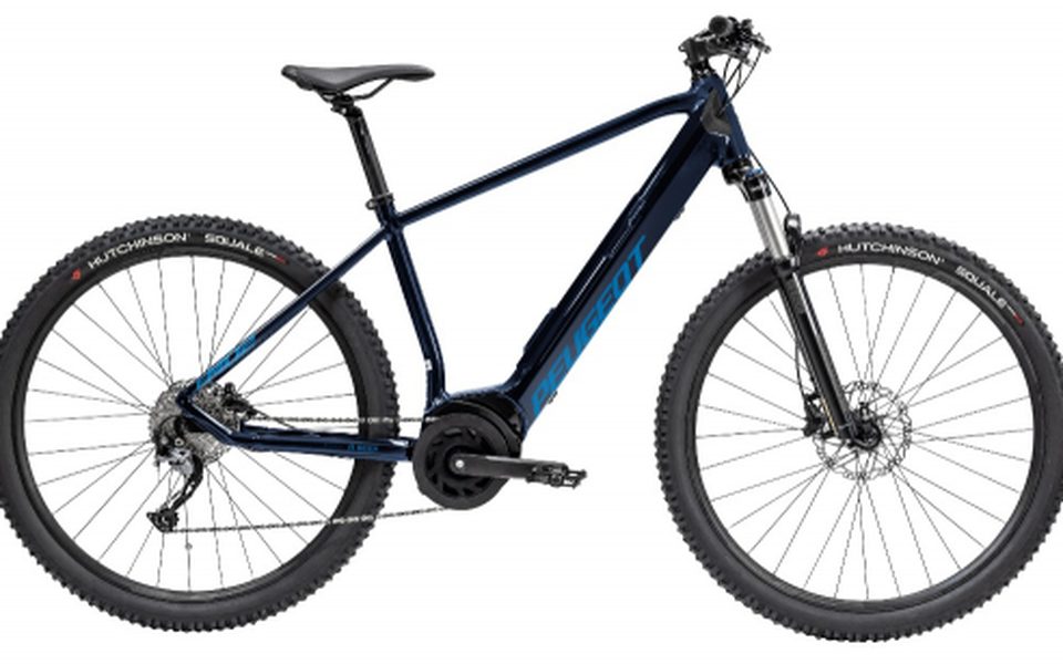 PEUGEOT eM02 Performance 29″