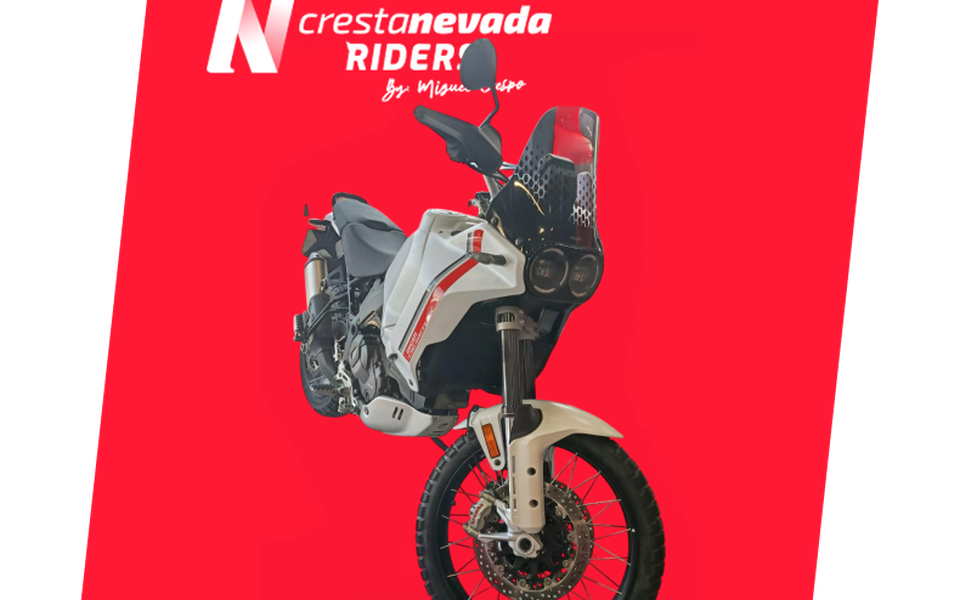 DUCATI DESERT X