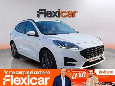 FORD Kuga Kuga 2.5 Duratec FHEV ST-Line 4x2 Aut.
