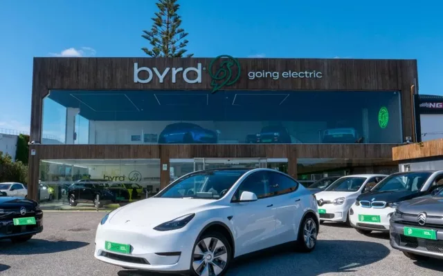 Tesla Model Y Standard