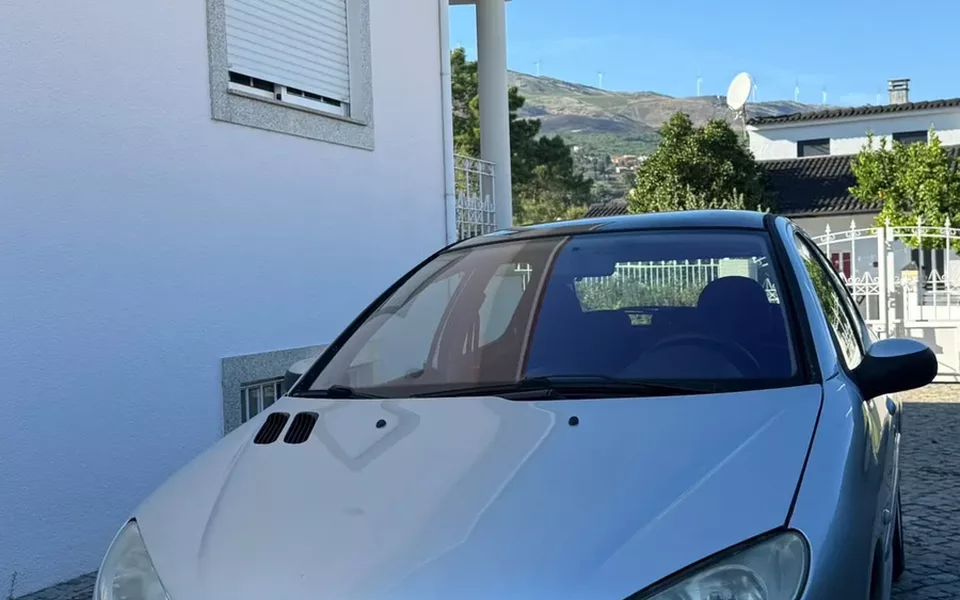 Peugeot 206 1.1 Black & Silver