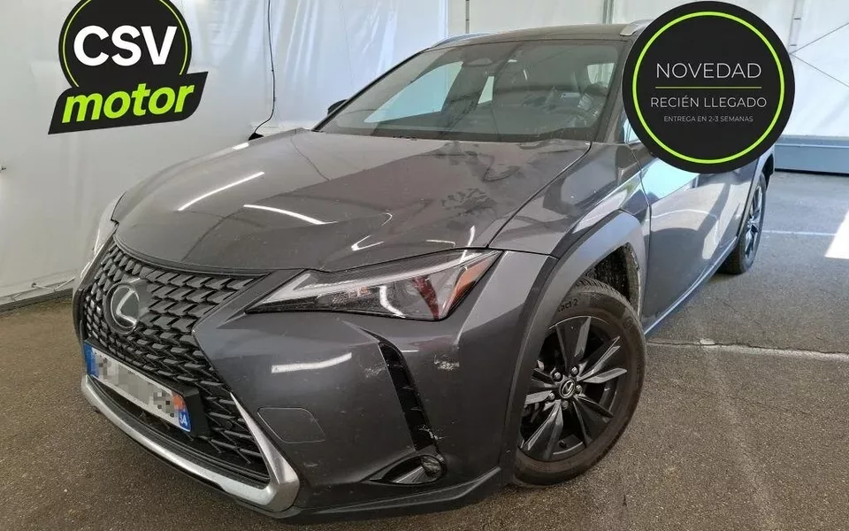 LEXUS UX 2.0 300H 199 BUSINESS