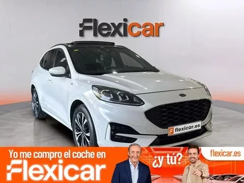FORD Kuga ST-Line 2.0 EcoBlue 140kW 4x4 Auto