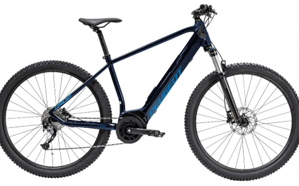 PEUGEOT eM02 Active Plus 29″