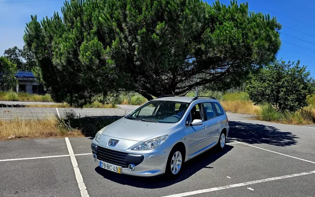 Peugeot 307 Break 1.4 16V Executive