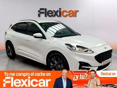 FORD Kuga Kuga 2.5 Duratec FHEV ST-Line 4x2 Aut.