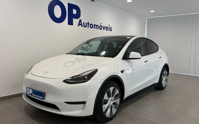 Tesla Model Y Long Range Tração Integral