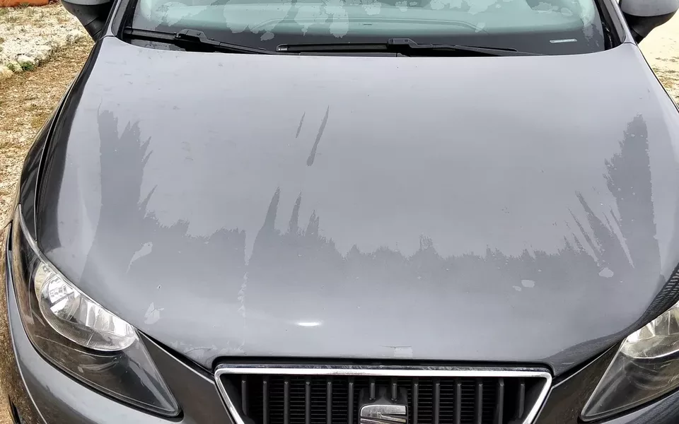 SEAT Ibiza 1.2 TDI Fresc DPF