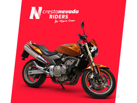 Honda CB 600 F Hornet