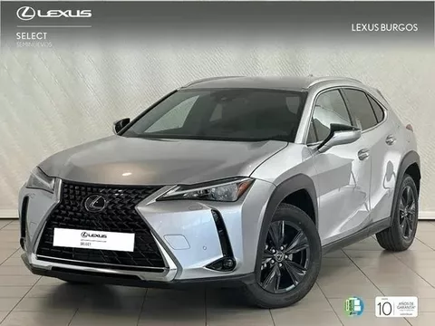 LEXUS UX UX 250h Premium 4WD