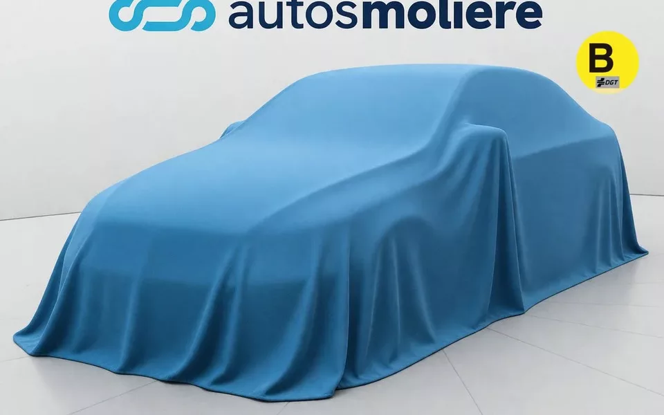 1.6 HDI SX 80 kW (110 CV)
