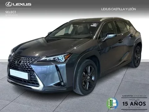 LEXUS UX 300h + 4x2