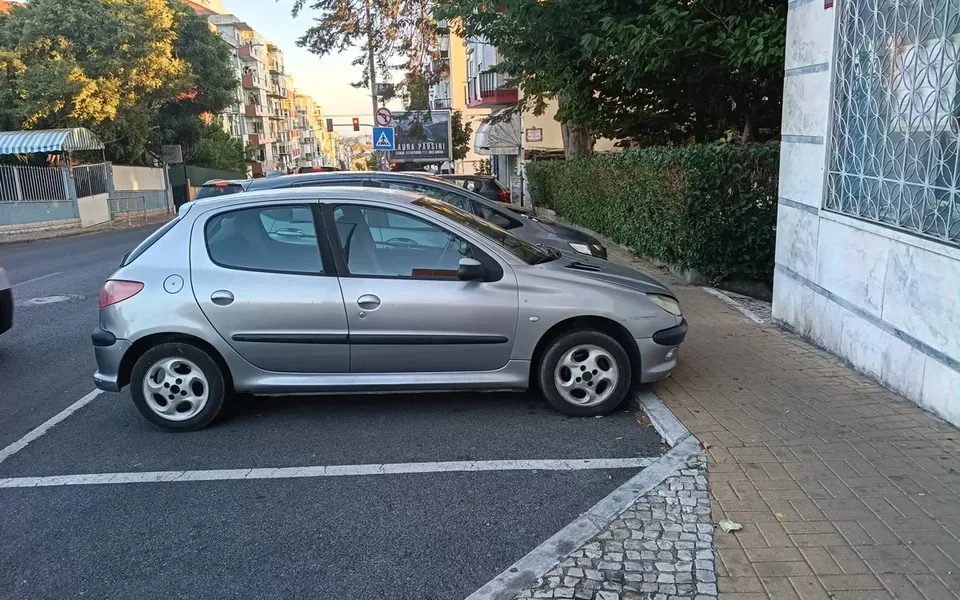 Peugeot 206 1.1 Black & Silver