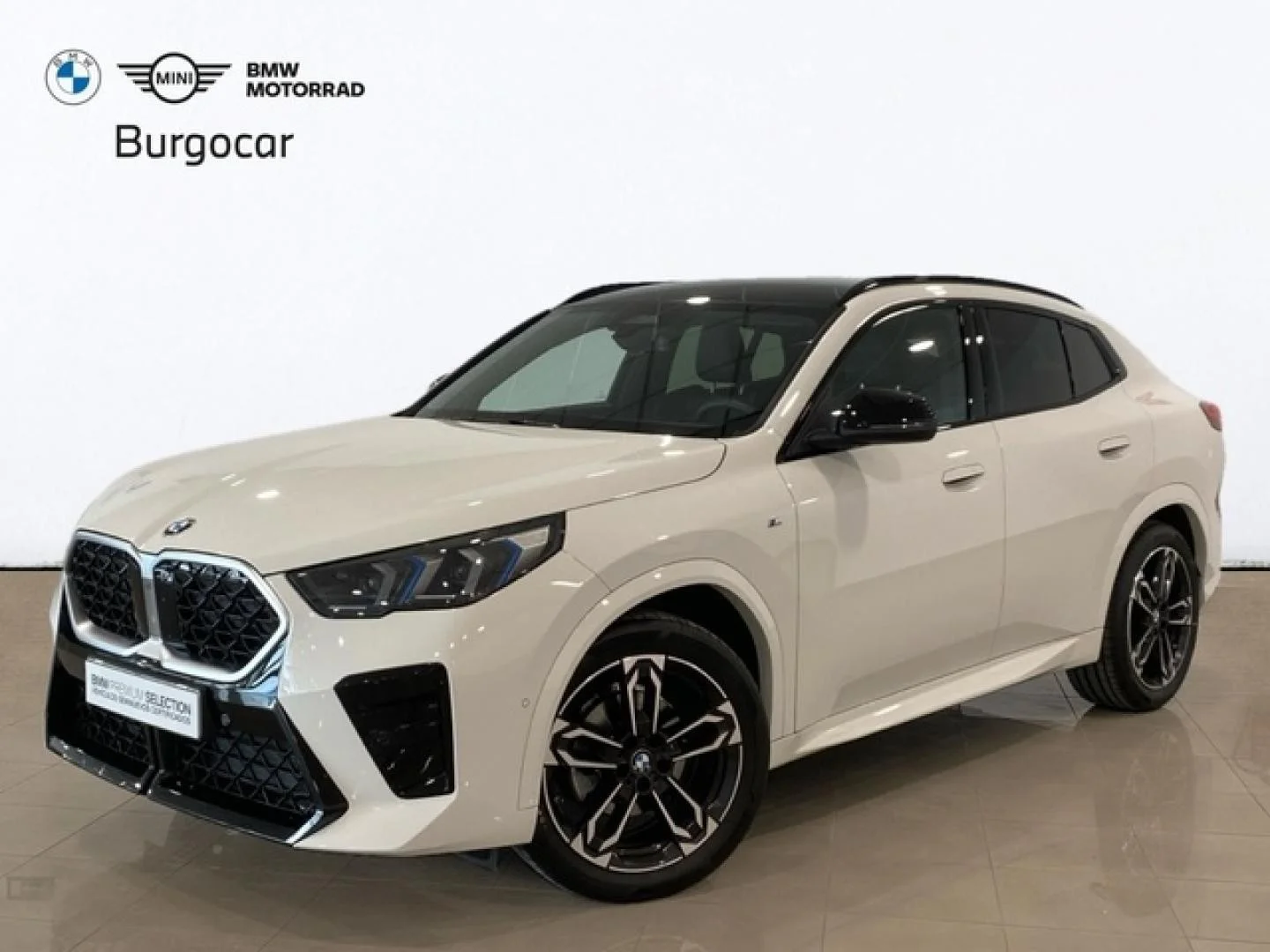 BMW X2 X2 xDrive 20dA