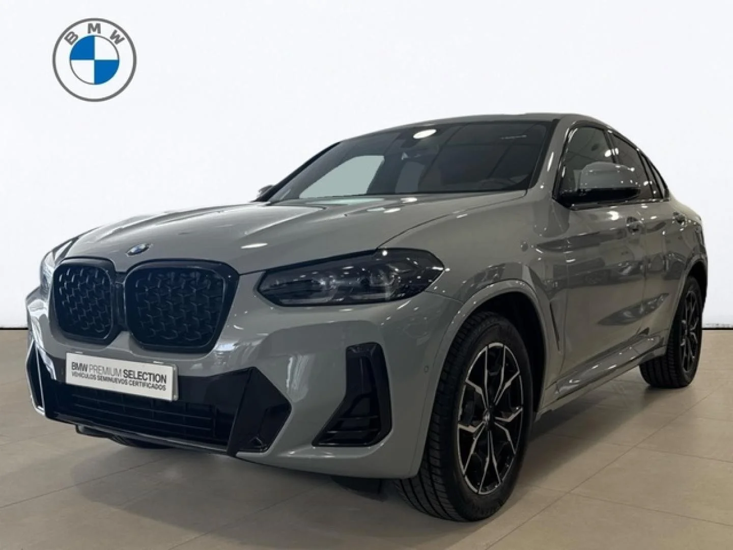 BMW X4 X4 xDrive 20dA xLine