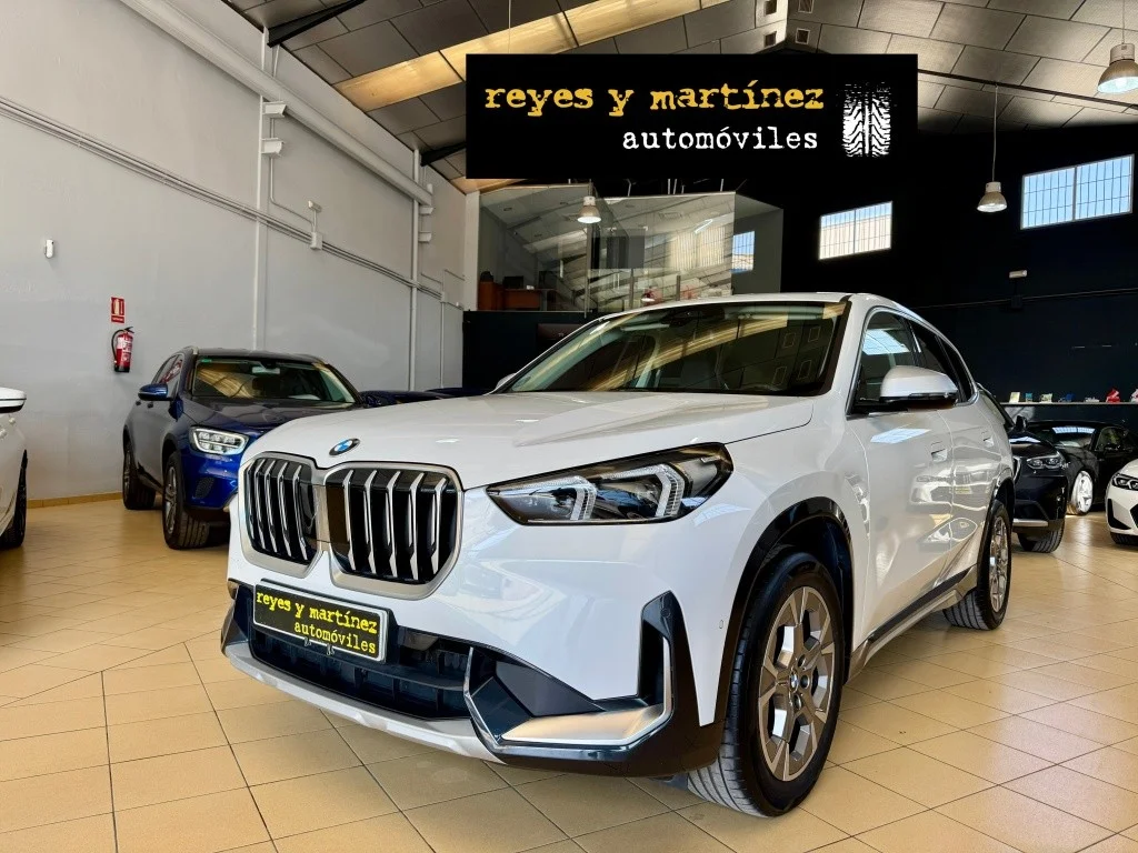 BMW X1 X1 xDrive 20dA xLine