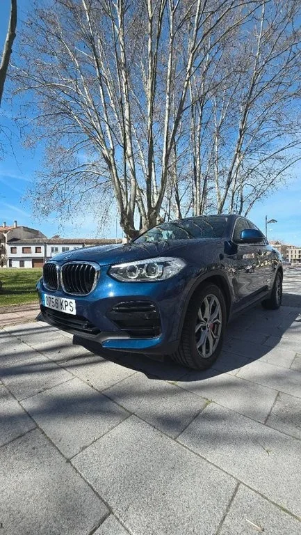 BMW X4 X4 xDrive 25dA