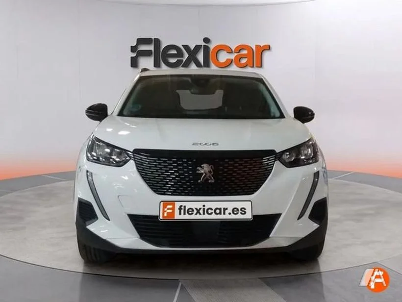 Foto 3