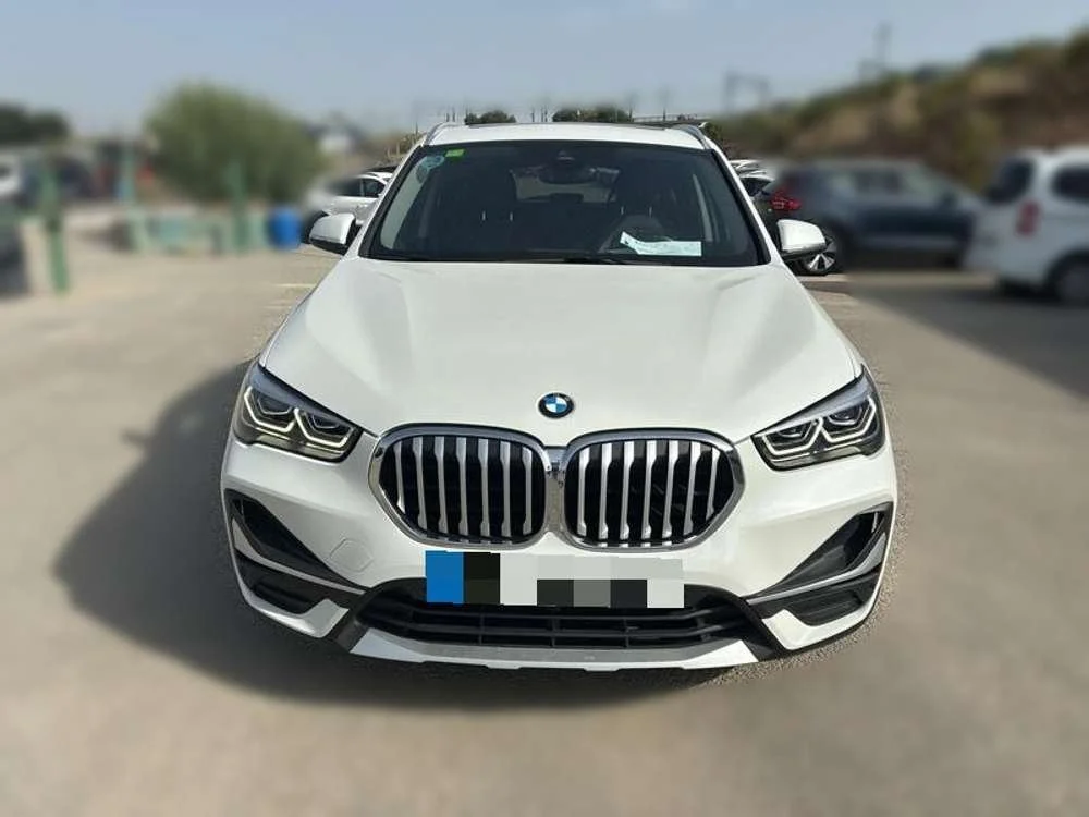BMW X1 X1 sDrive 18d