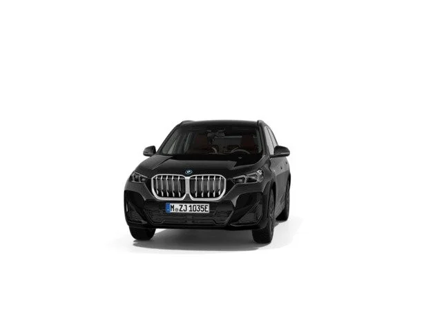 BMW X1 X1 xDrive25eA