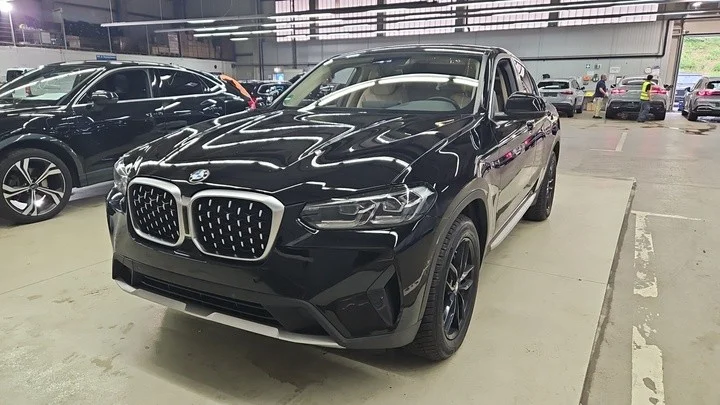 BMW X4 X4 xDrive 30dA xLine M Sport