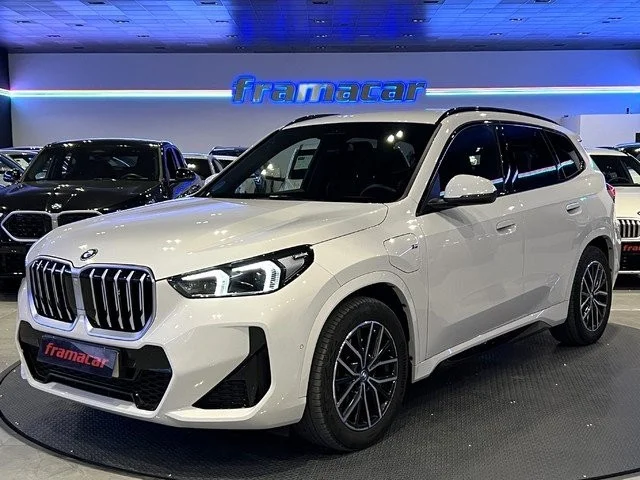 BMW X1 X1 xDrive25eA