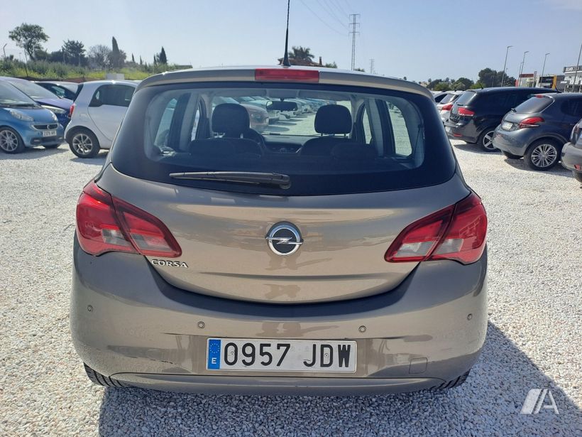 Foto 5