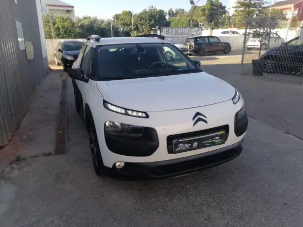 Citroën C4 Cactus 2016 other_Outro