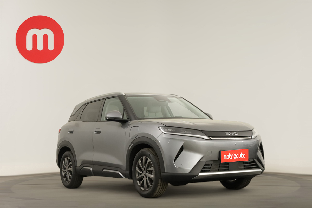 Byd Atto 2