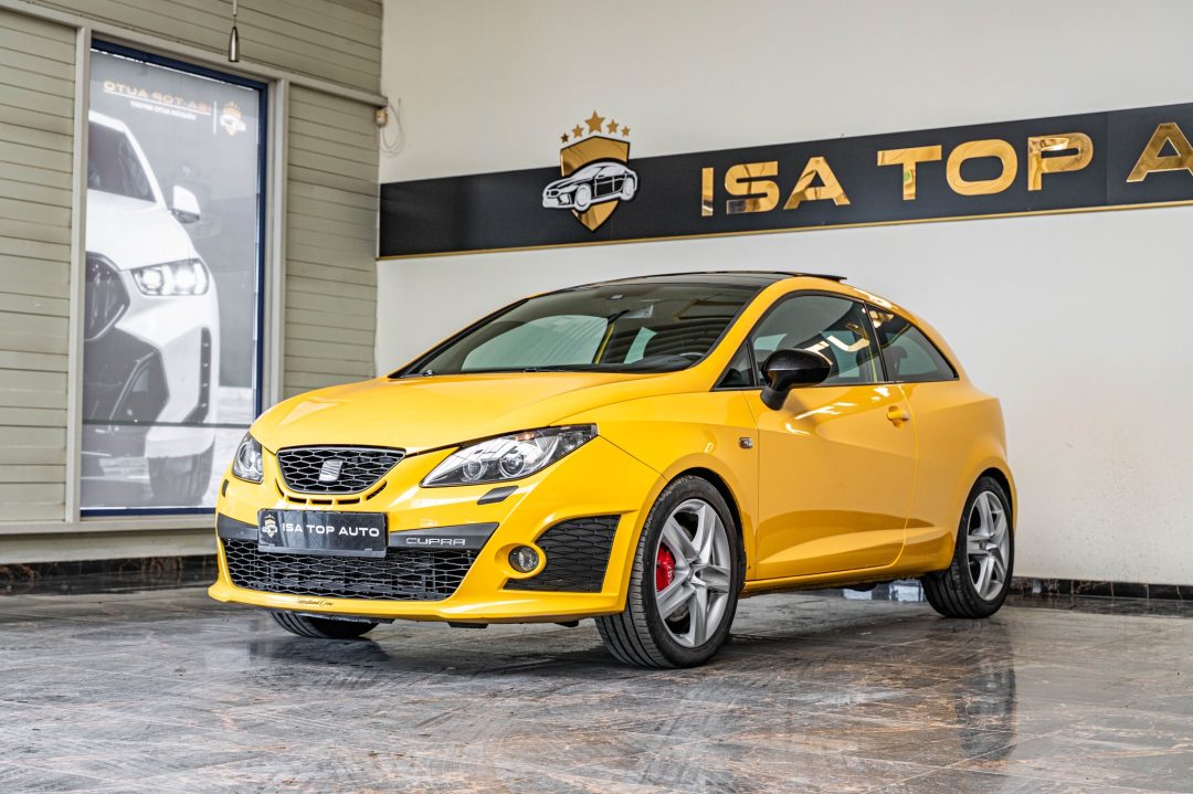 Seat Ibiza 2010