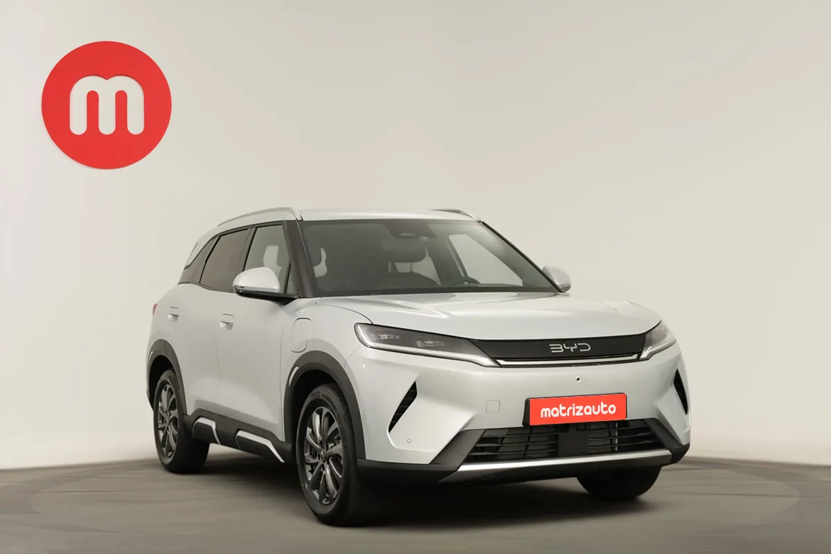 Byd Atto 2