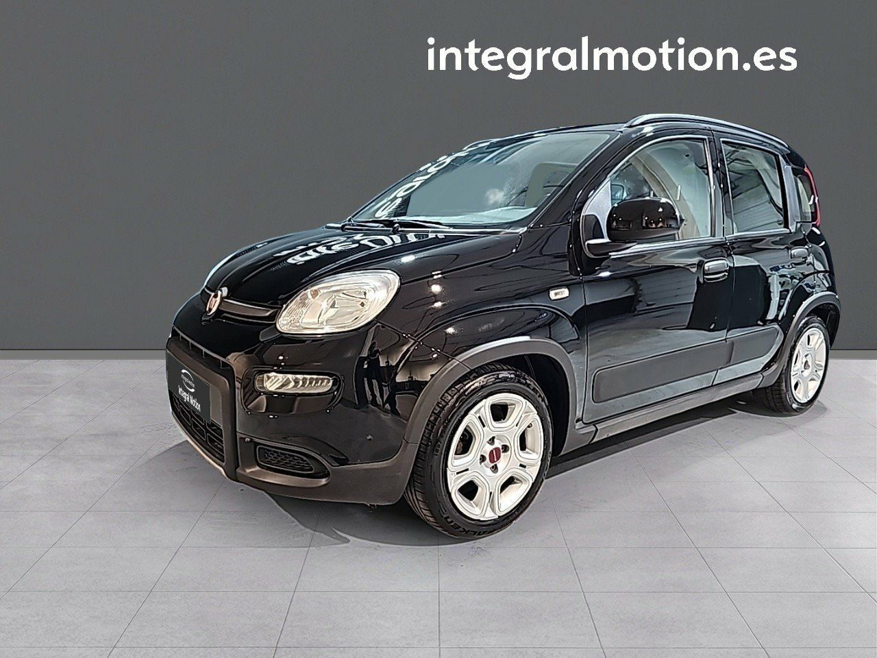 Foto 5